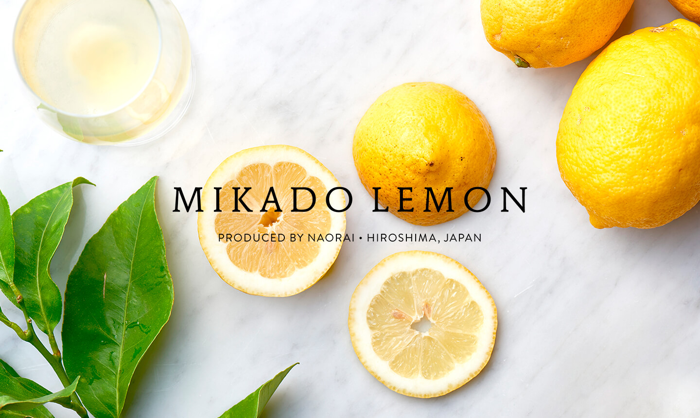 MIKADO LEMON ブランドサイトオープン